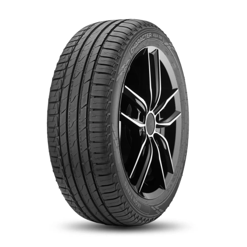 картинка Ikon Tyres  255/55/18  V 109 Ikon Character Aqua SUV  XL - Шины летние от нашего магазина