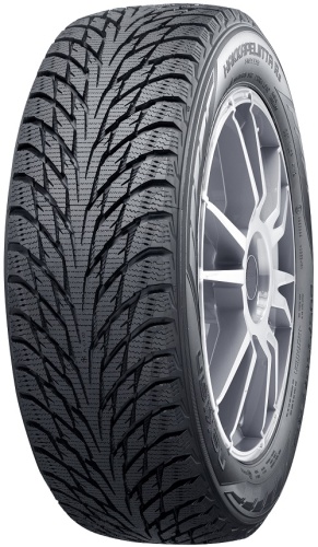 картинка Nokian Tyres 205/60 R16 Hakkapeliitta R5 96R от нашего магазина